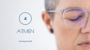 powernap4.pinos .fit